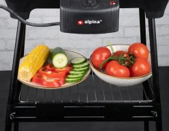 Alpina Elektro-Standgrill 2000W Online