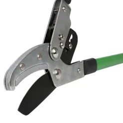 Grüner Jan Amboss-Teleskop-Astschere 93Cm Best
