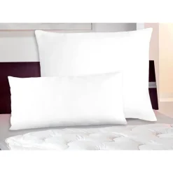 Wagner Handelsgesellschaft Best Living Mikrofaser-Kopfkissen 2Er-Set 40X80Cm Sale