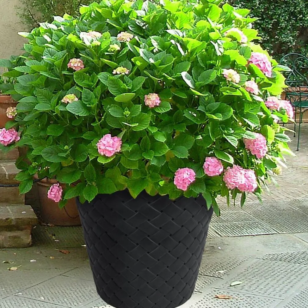 Prosperplast Blumentopf Matuba 59,5X58Cm Anthrazit Online