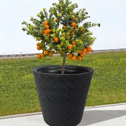 Prosperplast Blumentopf Matuba 48X45,5Cm Anthrazit