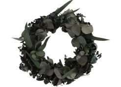 TP Eucalyptuskranz 30Cm Clearance