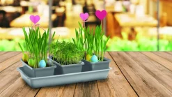 Grüner Jan Garten-Set Mit Werkzeug Und Giesbecher Discount