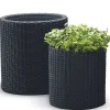 Keter Pflanz-Zylinder M+L 2Er-Set Outlet