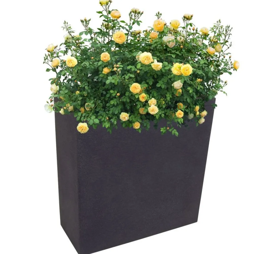 Jelenia Plast Kubus Pflanzkasten 59,5X26Cm Anthrazit Outlet