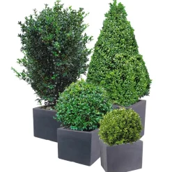Jelenia Plast Kubus Pflanzkübel 4Er-Set Anthrazit Discount