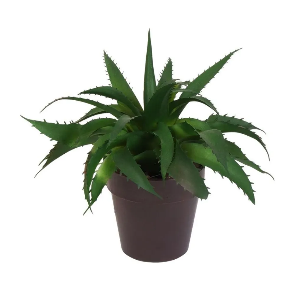 TP Kunstliche Aloe Vera Im Kunststofftopf 17Cm Dunkelgrun New