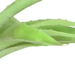 TP Kunstliche Aloe Vera Im Kunststofftopf 23Cm Hot