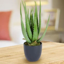 TP Kunstliche Aloe Vera Im Topf 45Cm Hot