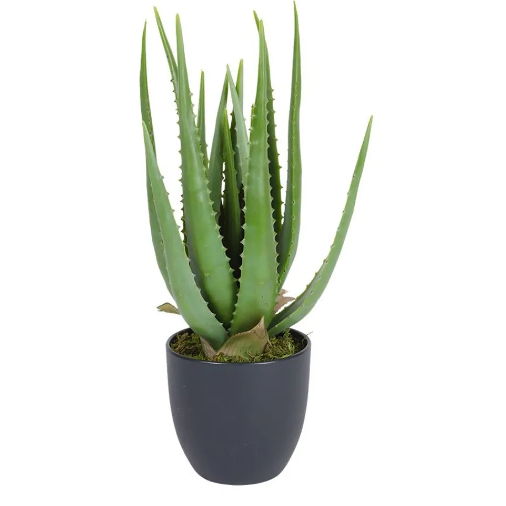 TP Kunstliche Aloe Vera Im Topf 45Cm Hot