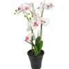 TP Kunstliche Orchidee Mit 3 Rispen Weis/Pink Discount