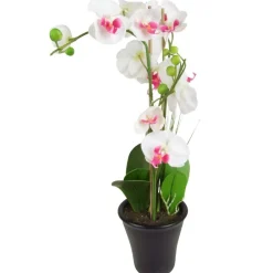 TP Kunstliche Orchidee Mit 3 Rispen Weis/Pink Discount