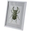 New Home Kunststoff-Bilderrahmen 13X18Cm Weis Discount