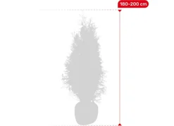 Hortiflora Lebensbaum Thuja Occidentalis Brabant Heckenpflanze 180-200Cm Hot