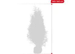 Hortiflora Lebensbaum Thuja Occidentalis Brabant Heckenpflanze 140-160Cm Outlet