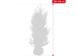 Hortiflora Lebensbaum Thuja Occidentalis Brabant Heckenpflanze 120-140Cm Clearance