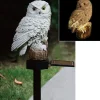 TP Led Solar-Gartenfigur Eule Outlet