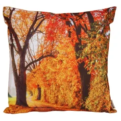 TP Outdoorkissen Herbstweg Orange 45X45Cm Hot