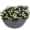 Pseudohersteller Ovaler Pflanztopf Stone 59X34Cm Grau Hot