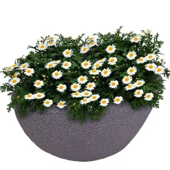 Pseudohersteller Ovaler Pflanztopf Stone 59X34Cm Grau Hot