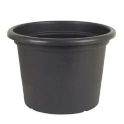 Pseudohersteller Pflanzkübel Campanula 50Cm Anthrazit Sale