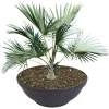 Pseudohersteller Pflanzschale Misa 65X24Cm Anthrazit Outlet