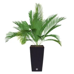 Prosperplast Polyrattan-Pflanztopf Mit Einsatz 22X42X22Cm Anthrazit Clearance