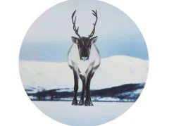 Seasons & Style Rundes Wandbild Aus Mdf 58Cm Rentier Im Schnee Online