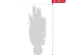 Hortiflora Scheinzypresse Heckenpflanze Chamaecyparis Lawsoniana Columnaris 160-180Cm Sale