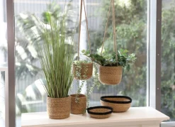 New Home Seegras-Korbschalen Mit Abgesetztem Rand 3Er-Set Clearance