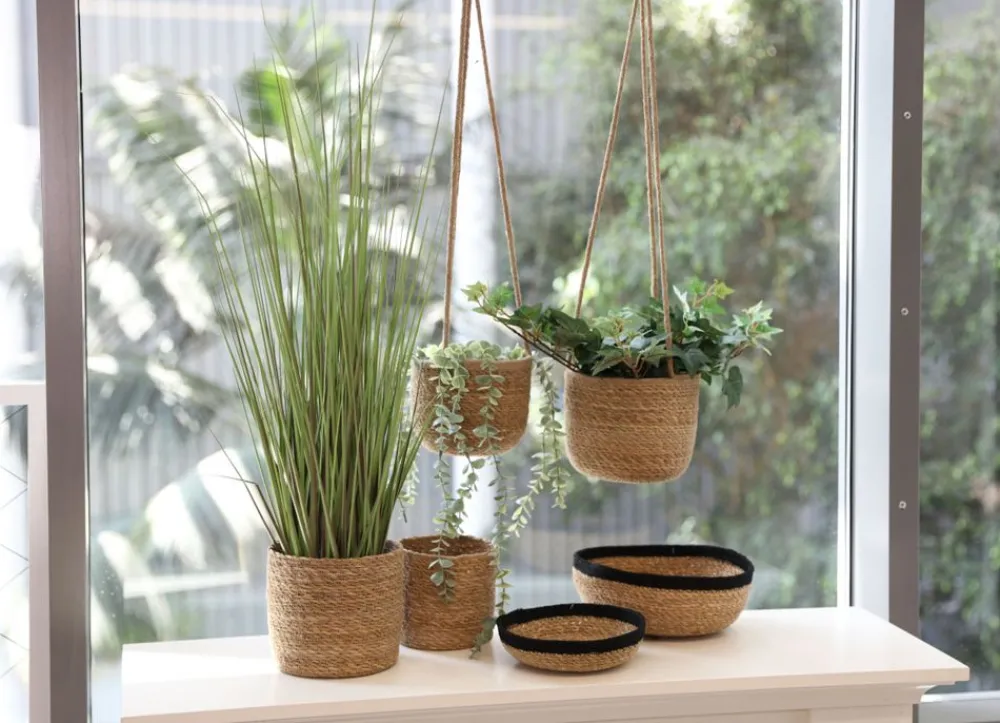 New Home Seegras-Korbschalen Mit Abgesetztem Rand 3Er-Set Clearance