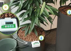 Grüner Jan Solar-Bewasserungssystem New