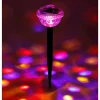 TP Solar-Partylicht Mit 4 Bunten Leds Online
