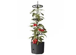 Plastkon Tomatenpflanztopf Mit Rankhilfe 29Cm Anthrazit Online