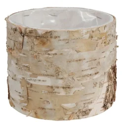 TP Ubertopf Birkenstamm 11X9Cm Hot