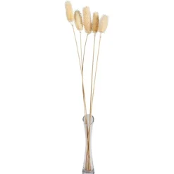 TP Weise Distel Getrocknet 70Cm 5-Teilig Clearance
