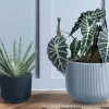 Prosperplast Xxl Blumentopf Milly Bauchig Rillendesign Mit Einsatz 47Cm Steingrau New