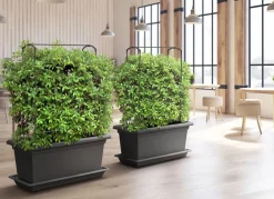 Plastkon Xxl Pflanzkasten Magnus 80X39X37Cm Anthrazit Online